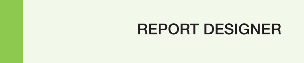 EBP Report Designer